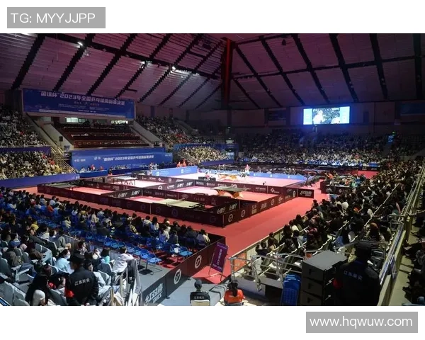 南京乒乓球队灵活性创新高引发全国关注助力乒乓球发展新篇章